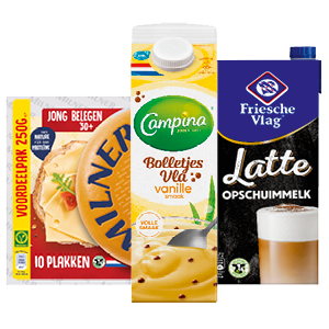 Campina, Milner, Friesche Vlag en Fristi
