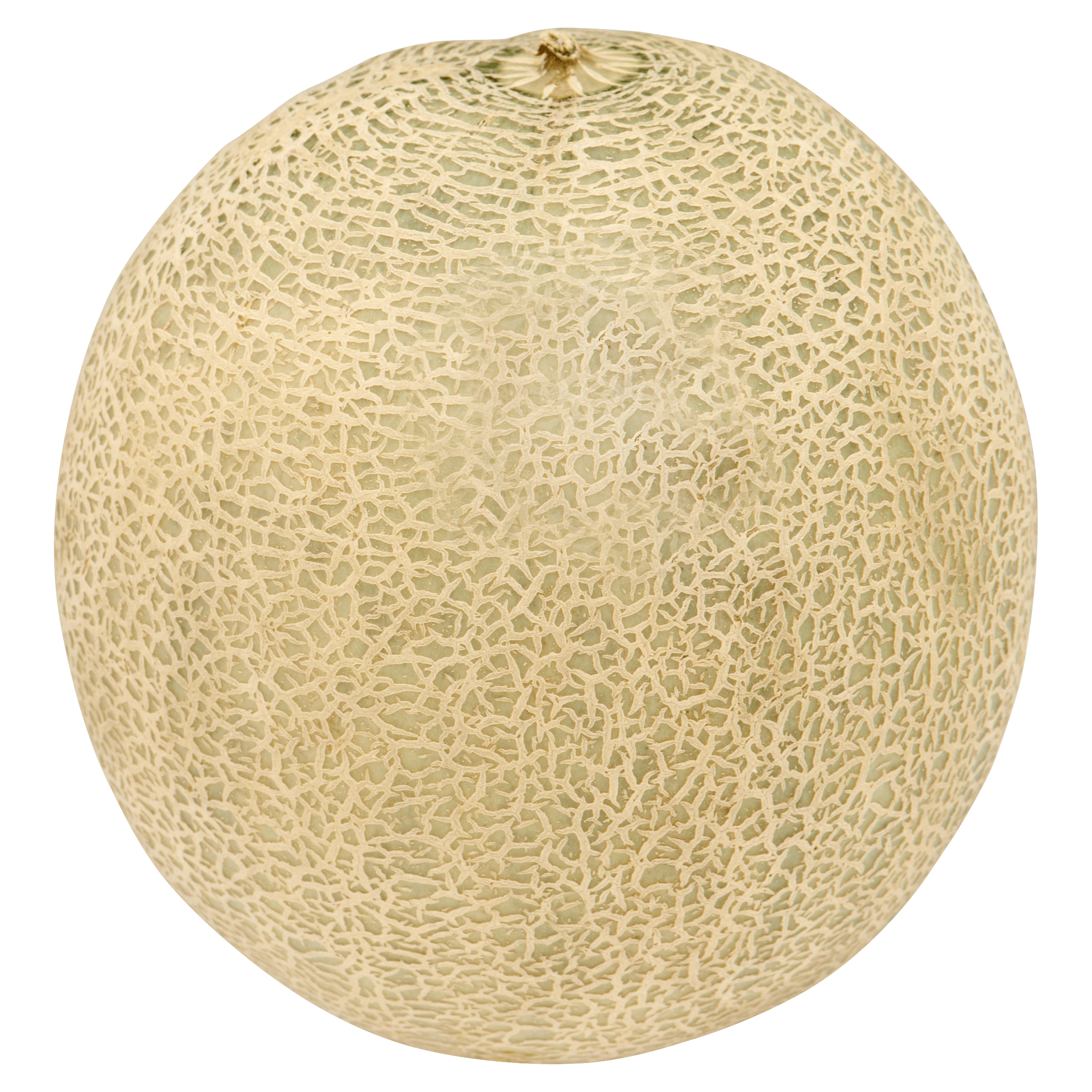Jumbo Galia Meloen