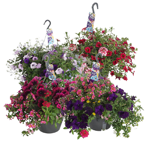 Perkgoed Hangpot XXL