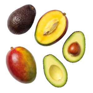 Avocado of mango