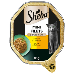 Sheba of Cesar