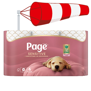 Page Sensitive