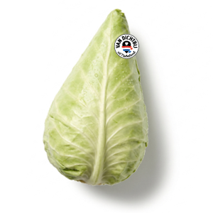 Spitskool