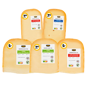 Alle Jumbo Goudse kaas 48+ stukken