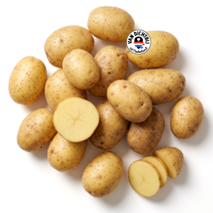 Aardappelen