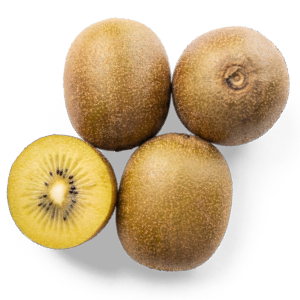 Zespri kiwi Sungold
