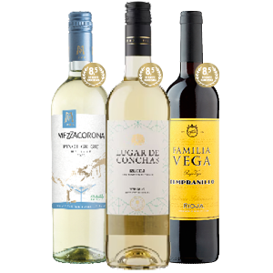 Mezzacorona Pinot Grigio, Jumbo Rueda Verdejo of Familia Vega Rioja Tempranillo