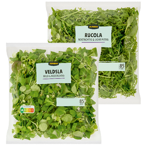 Jumbo rucola of veldsla