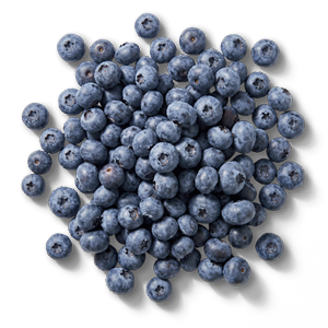 Blauwe bessen