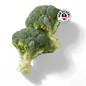 Broccoli