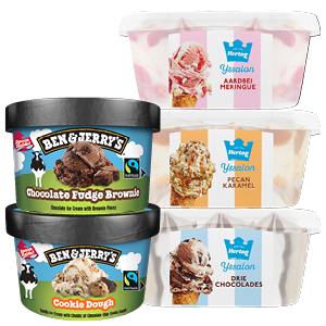 Ben & Jerry's of Hertog mini's