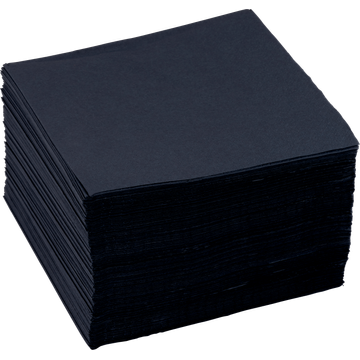 Duni Bio Tissue Napkins Zwart 2-Laags 125 Stuks