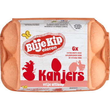 Blije Kip Eieren Kanjers Vrije Uitloop 6 Stuks