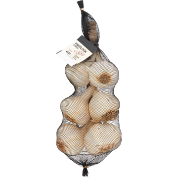 Jumbo Knoflook Streng