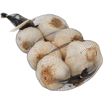 Jumbo Knoflook Streng