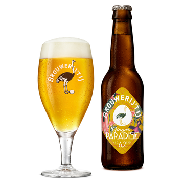 Brouwerij 't IJ - Ginger Paradise - Fles - 330ML