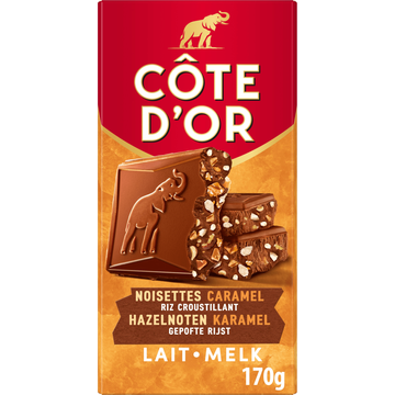 Cote D'or Melk Hazelnoot Chocolade Reep 170g
