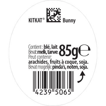 KITKAT Melkchocolade paashaas