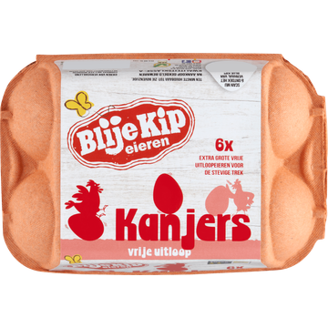Blije Kip Eieren Kanjers Vrije Uitloop 6 Stuks