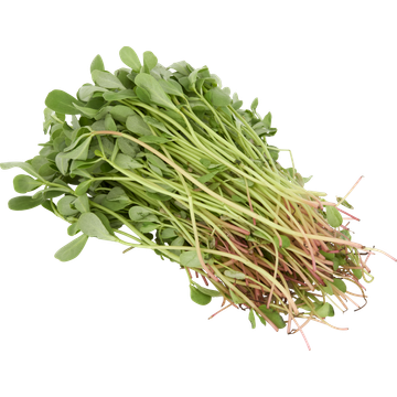 Jumbo Postelein 400g