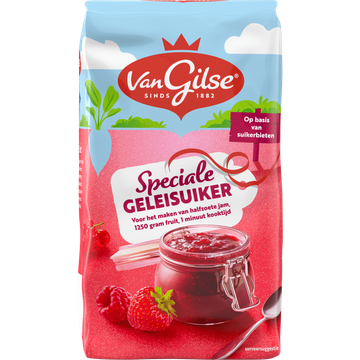 Van Gilse Speciale Geleisuiker 500 g