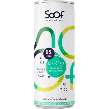 Sparkling Natural Drink with Lemon, Mint, Apple and Water 250ML
