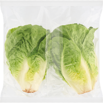 Jumbo Biologisch Baby Romaine Sla 2 Stuks
