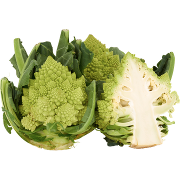 Jumbo Romanesco