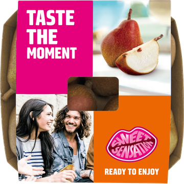 Sweet Sensation Peren 4 Stuks