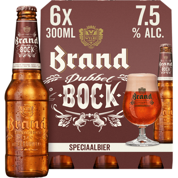 Brand Dubbelbock Bier Fles 6 x 300ml