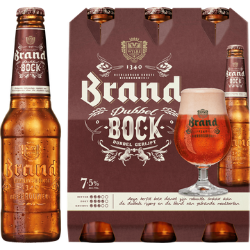 Brand Dubbelbock Bier Fles 6 x 300ml