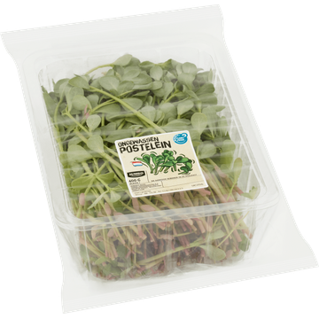 Jumbo Postelein 400g