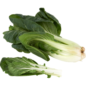 Jumbo Paksoi
