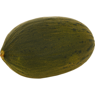 Jumbo Meloen Piel de Sapo