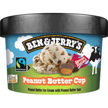 Ben & Jerry's Peanut Butter Cup 100ML