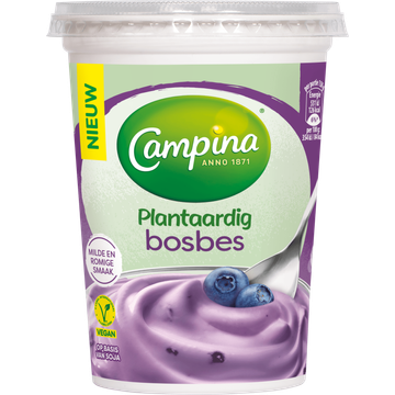 Plantaardig Alternatief Voor Yoghurt Bosbes 500G