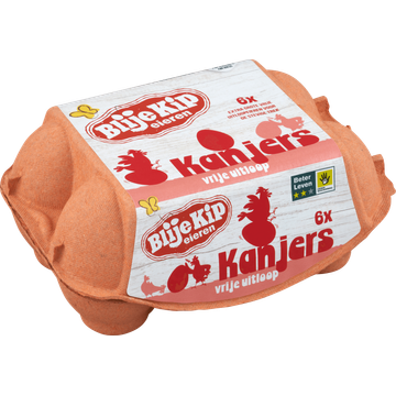 Blije Kip Eieren Kanjers Vrije Uitloop 6 Stuks