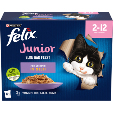 FELIX® Elke Dag Feest Junior Mix Selectie in Gelei Kattenvoer 12x85g