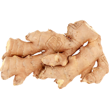 Jumbo Biologische Verse Gember 100g