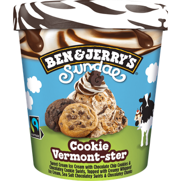 Ben & Jerry's IJs Sundae Cookie Vermont-ster 465ml