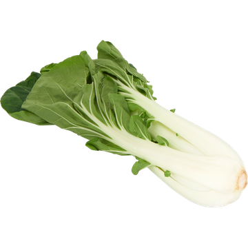 Jumbo Paksoi