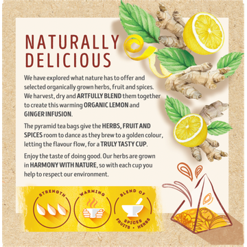 Lipton Thee BIO Lemon & Ginger 20 theezakjes 34 g