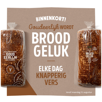 Goudeerlijk - Schotel Zonnepit Wit - Vers