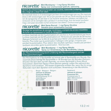 Nicorette Menthol mint mondspray 1 mg, 13,2 ml