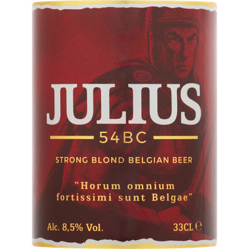 Hoegaarden - Julius Blond - Fles - 330ML