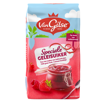 Van Gilse Speciale Geleisuiker 500 g