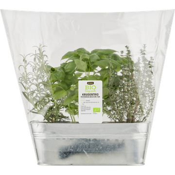 Jumbo Biologisch Kruidentrio Rozemarijn, Basilicum & Tijm