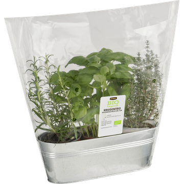 Jumbo Biologisch Kruidentrio Rozemarijn, Basilicum & Tijm