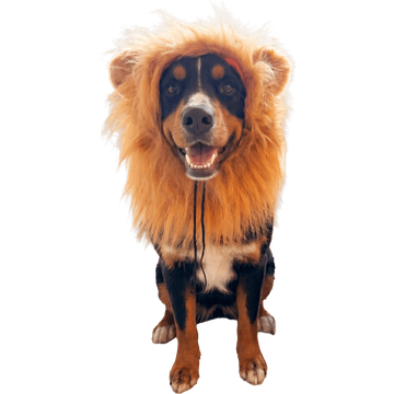 Jumbo Manentooi