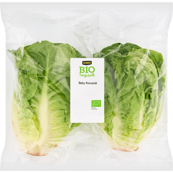 Biologisch Baby Romaine Sla 2 Stuks
